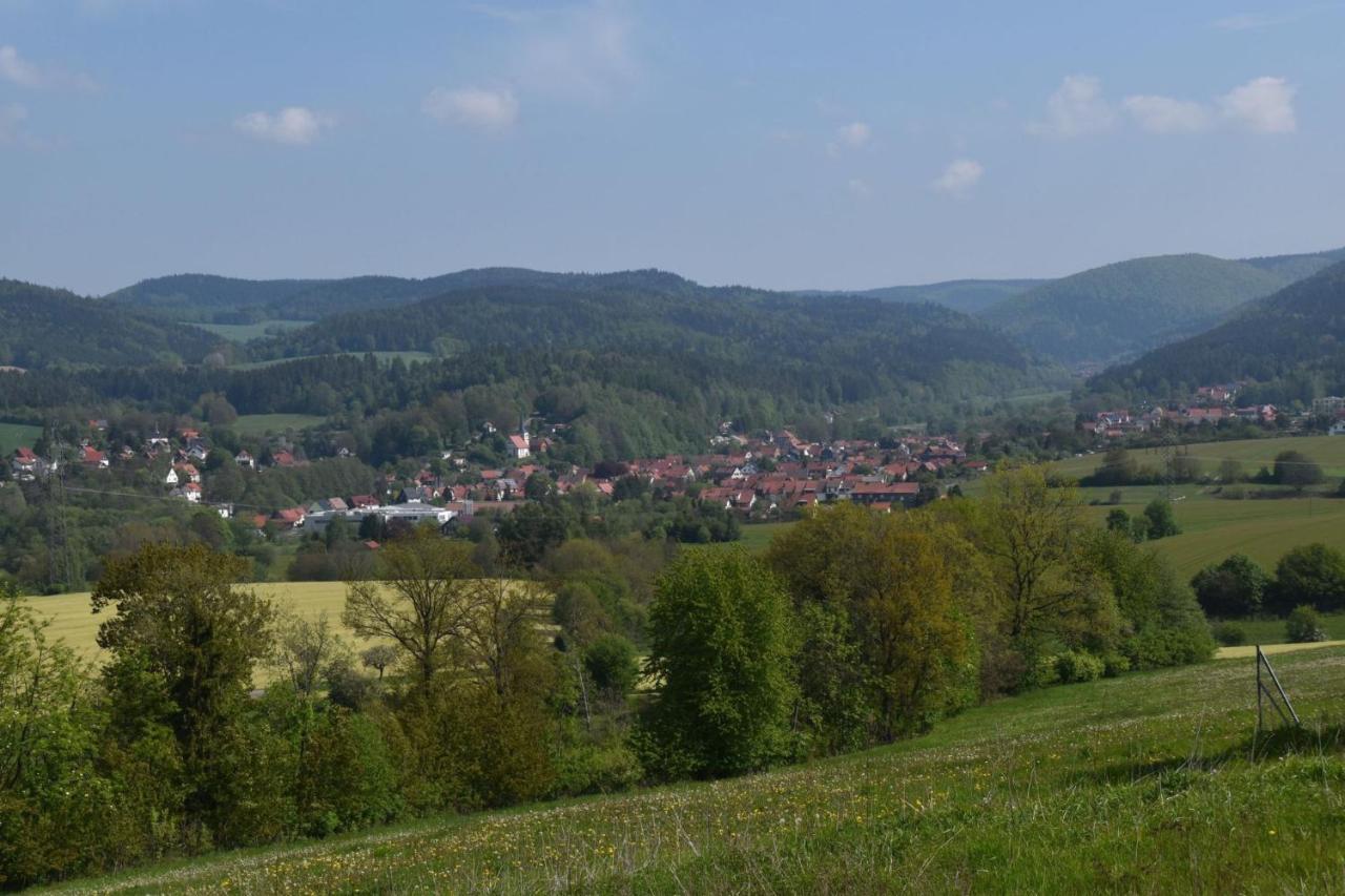 Ferienhaus Zur Waldauer Hoehe Mit 3 Sz, 120Qm & 40Qm Balkon Schleusingen Buitenkant foto